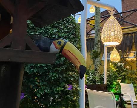 Canto Das Laranjeiras Moa Guaruja Ngoại thất bức ảnh